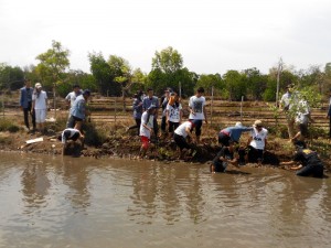 Suasana saat penanaman bibit-bibit Mangrove di Teluk Naga, Tanjung Burung, Tangerang (21/12) yang dilakukan oleh mahasiswa-mahasiswa UPDM(B) dan juga warga sekitar Kampung Teluk Naga.